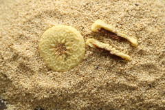 business-3p_kolompeh-3