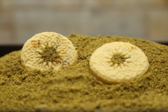 business-3p_kolompeh-4